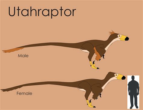 Utahraptor Size Comparison