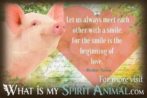 Pig Quotes & Sayings | Animal Quotes & Sayings