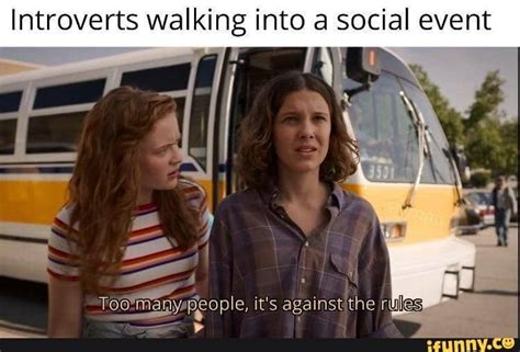 31 Funny Introvert Memes To Keep You Laughing (By Yourself) - Happier Human