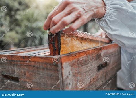 Beekeeper, Honey Frame and Honeycomb Box, Bee Farm and Manufacturing ...