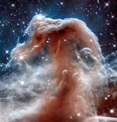 The horsehead Nebula Photograph by Eti Reid - Pixels