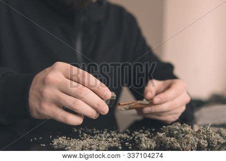 Rolling Marijuana Weed Image & Photo (Free Trial) | Bigstock