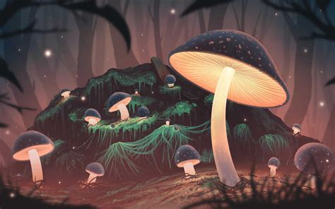 Mushroom Wallpapers on WallpaperDog