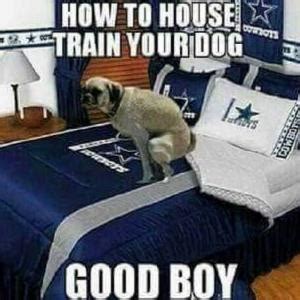 Dallas Cowboys Jokes | Laugh to Death