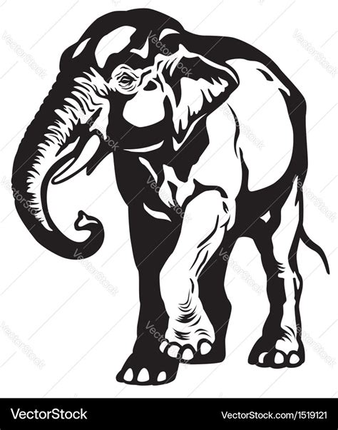 Asian elephant black white Royalty Free Vector Image