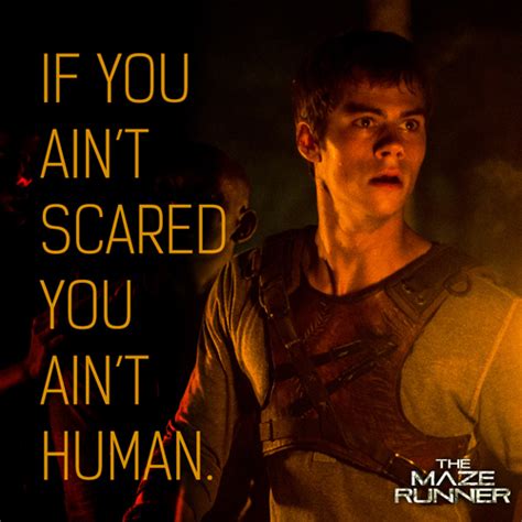 The Maze Runner Quotes. QuotesGram