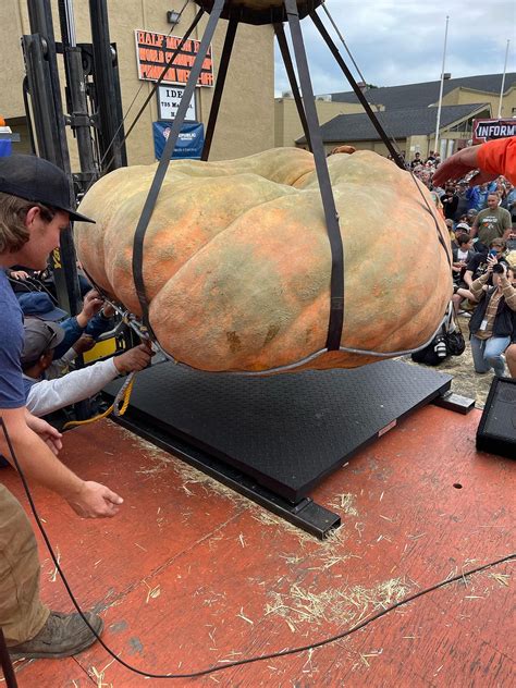 World's biggest pumpkin, new world record | Al Bawaba