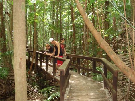 The photos already: Fraser Island- rainforest walk