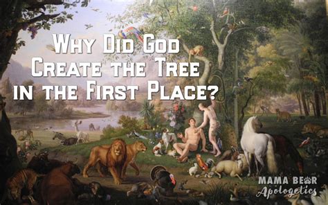 Why did God Create the Tree in the First Place? - Mama Bear Apologetics