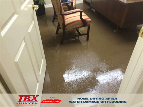 Home Drying After Water Damage Or Flooding - IBX Services