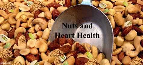 4 Best Nuts for Heart Health | Sehat