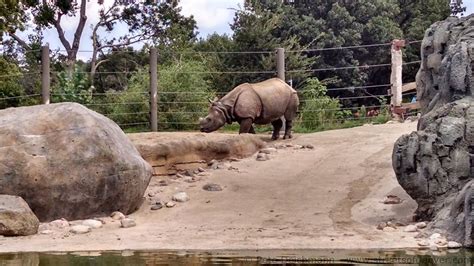 Streets Of Denver: Denver Zoo