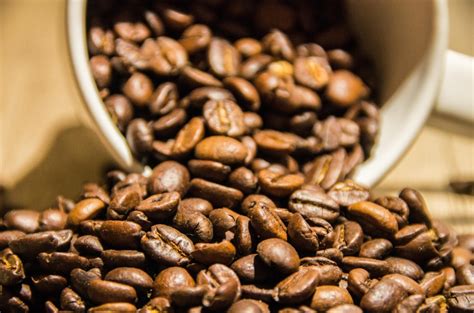 The Best Starbucks Coffee Beans (2024 Guide) - DrinkStack