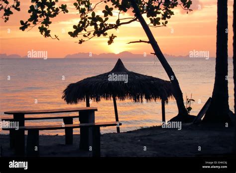 Tropical beach hut in Thailand Stock Photo - Alamy