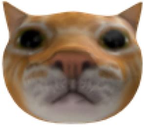 Cat Head Blank Template - Imgflip