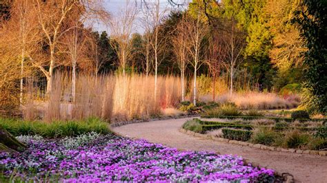 In Pictures: Winter wonder at Wakehurst | Kew