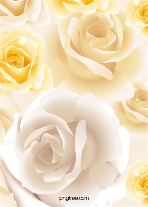 White Rose Flower Bouquet Background Wallpaper Image For Free Download ...