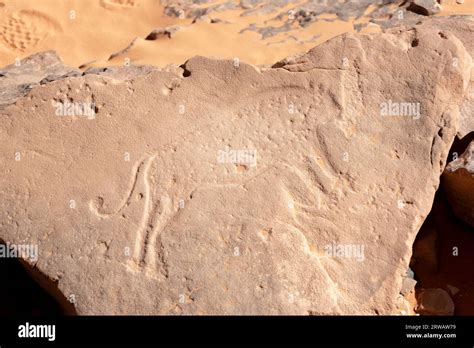 rock art in the sahara desert Stock Photo - Alamy