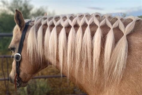 A Gorgeous Summer Horse Hairstyle To Try This Weekend | Horse mane ...