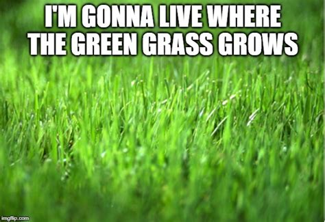 grass is greener Memes - Imgflip