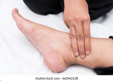 Posterior Tibial Photos, Images & Pictures | Shutterstock