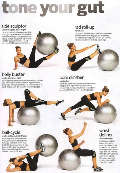 Rectus Abdominis muscle - Pain, Exercises, function, workouts, action ...