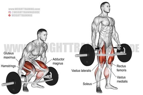 Trap bar deadlift exercise instructions and video | Weight Training Guide