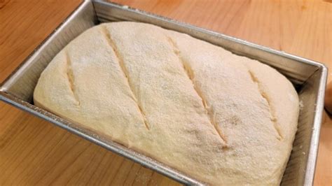 Beginner All Purpose Yeast Bread – Breadtopia