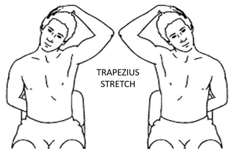 TRAPEZIUS STRETCH