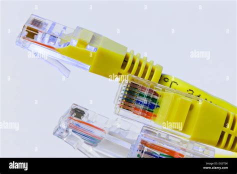 Ethernet cable connectors Stock Photo - Alamy