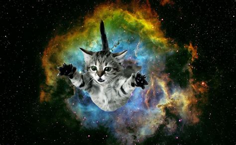 Cat Galaxy Wallpapers - Top Free Cat Galaxy Backgrounds - WallpaperAccess