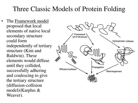 PPT - Protein Stability Protein Folding Chapter 6 PowerPoint ...