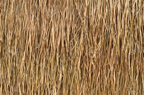 Thatch_01 | Thatched roof, Roof, Texture