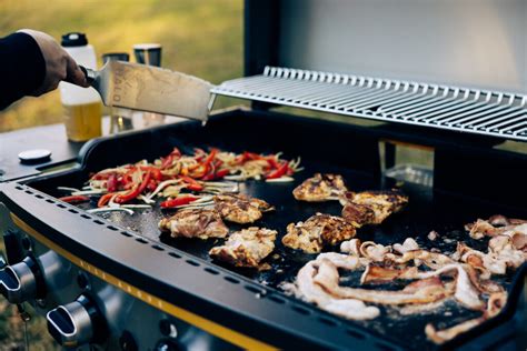 Shop Portable Propane Outdoor Griddles | HALO Products Group