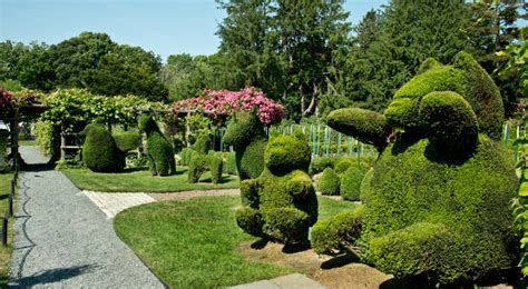 Green Animals Topiary Garden | Portsmouth, RI | Discover Newport