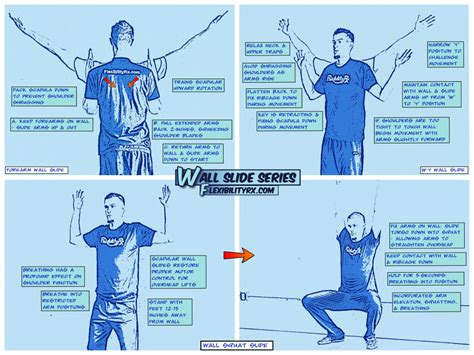 Shoulder Mobility Exercises: Scapular Wall Slides | FlexibilityRx ...