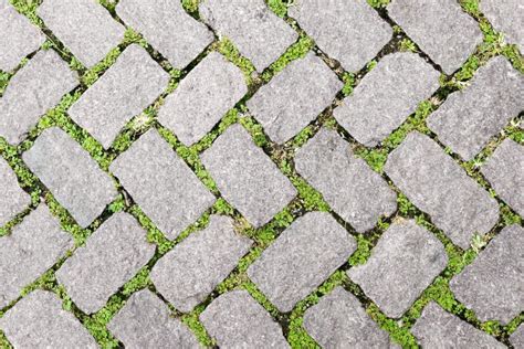 Grass Stone Floor Texture Pavement Design Stock Image - Image of garden ...