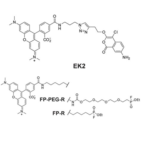 CIPSM - A New Class of Rhomboid Protease Inhibitors Discovered by ...