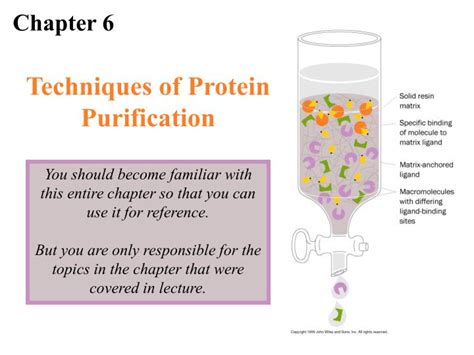 PPT - Techniques of Protein Purification PowerPoint Presentation, free ...