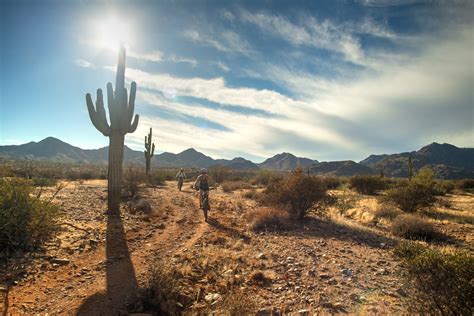 Arizona's Sonoran Desert Photo Gallery - Rim Tours