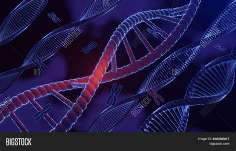 Dna Spiral Structure. Image & Photo (Free Trial) | Bigstock