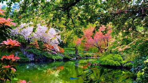 2048x1152 Beautiful Garden Nature 2048x1152 Resolution HD 4k Wallpapers ...