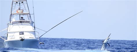 Open Ocean and Deep Sea Fishing Tips For Beginners | HMY Yachts