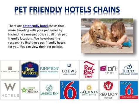 Pet-Friendly Policies | Pet-Friendly Hotels Guide