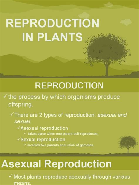 9 Reproduction in Plants | PDF | Plant Reproduction | Reproduction