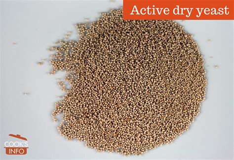 Active Dry Yeast - CooksInfo