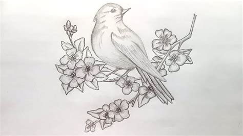 Pencil Drawing Of Birds - bestpencildrawing