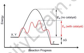 Homogeneous and Heterogeneous Catalysis - Infinity Learn by Sri Chaitanya