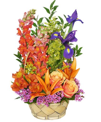 Multi-Color Memories Flower Arrangement in Calgary, AB - Allan's Flowers