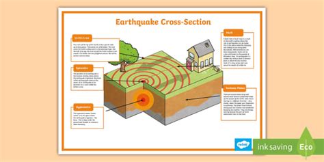 Earthquake Plate Diagram | Earthquake Poster Twinkl